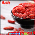 Goji produits vendita piante di goji goji effets secondaires